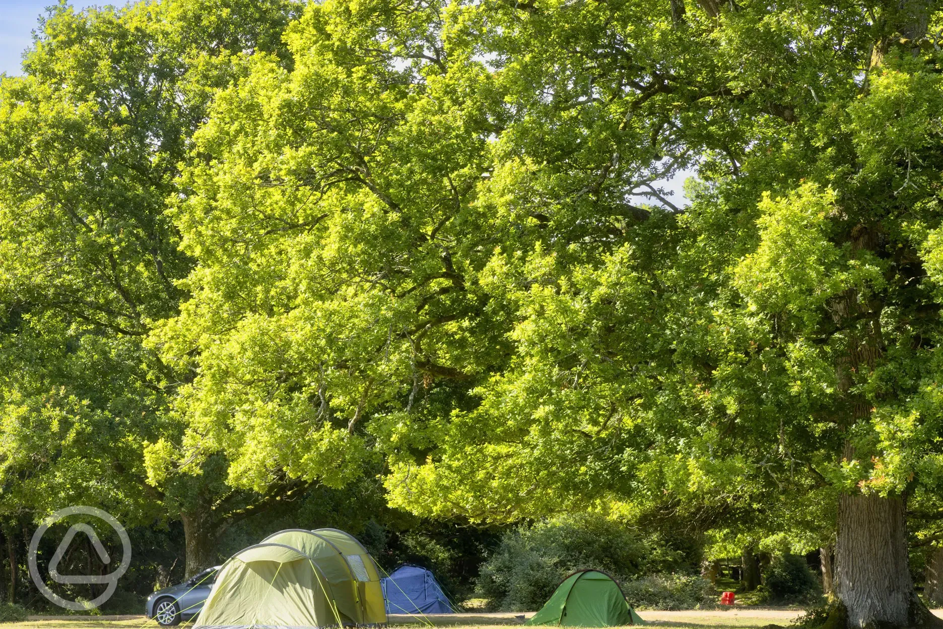 Non electric grass pitches