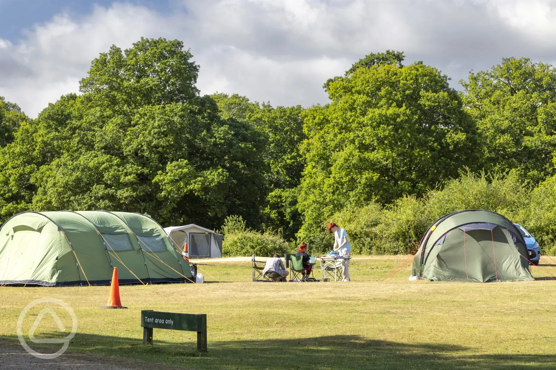 Non electric grass pitches