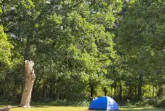 Non electric grass pitches Non electric grass pitches