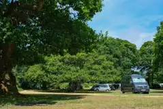 Non electric grass pitches in woodland settings