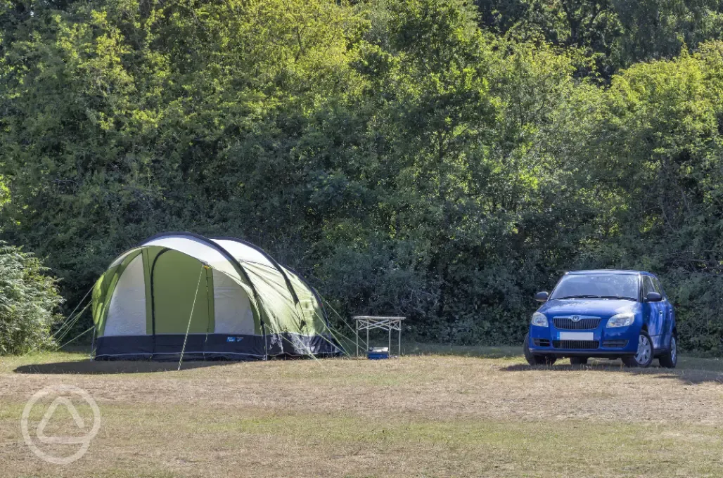 Non electric grass pitch