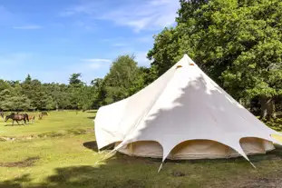 Ashurst Campsite, Ashurst, Hampshire