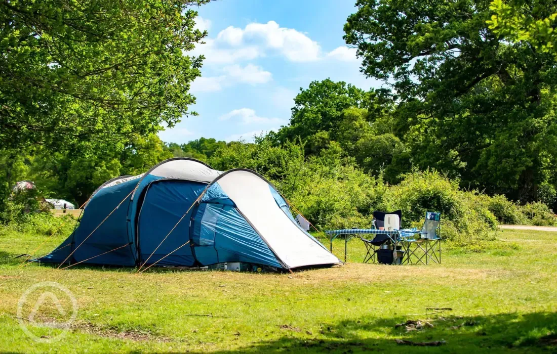 Non electric grass pitches