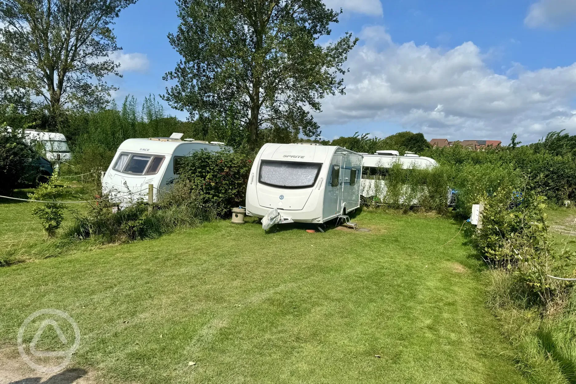 Electric grass pitches surrounded by trees