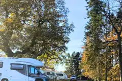 Electric grass 10m x 10m pitches with 10 amp hook ups