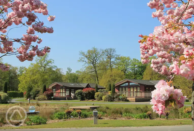 Repton green luxury lodges