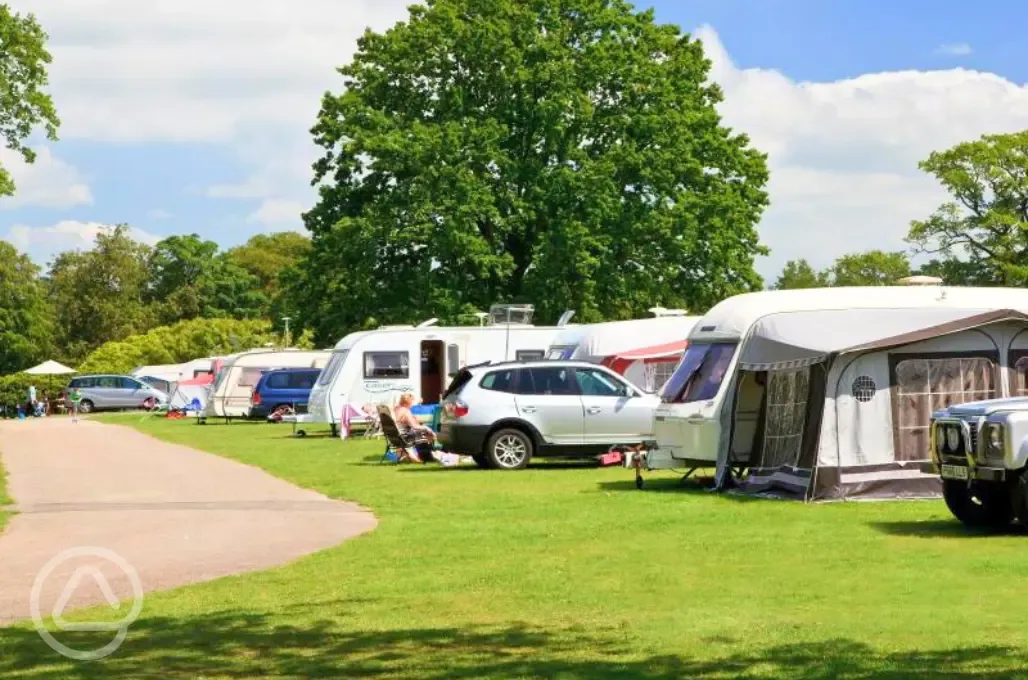 Electric grass pitches