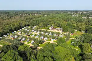 Back of Beyond Touring Park, St Leonards, Ringwood, Dorset Back of Beyond Touring Park, St Leonards, Ringwood, Dorset