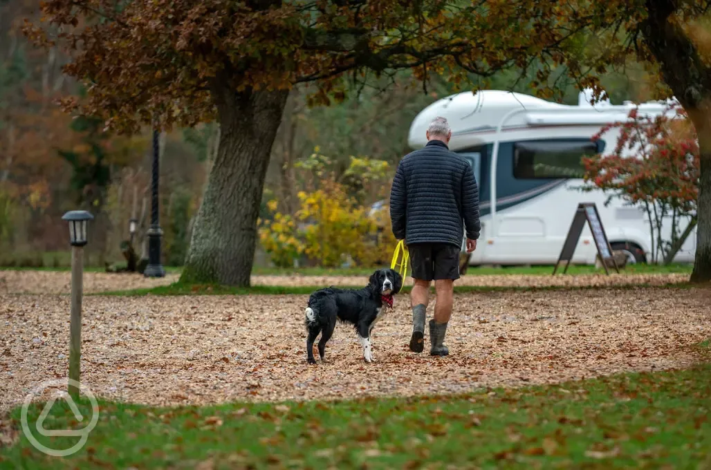 Dog friendly pitches Dog friendly pitches