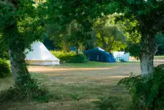 Non electric camping pitches (pet free)