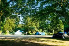 Non electric 10m x 10m camping pitches (pet free)