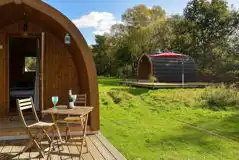 Kingfisher medium pod