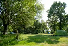 Non electric 10m x 10m camping pitches (pet free)