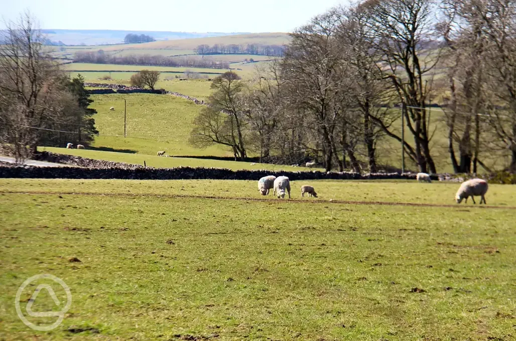 Peak District views