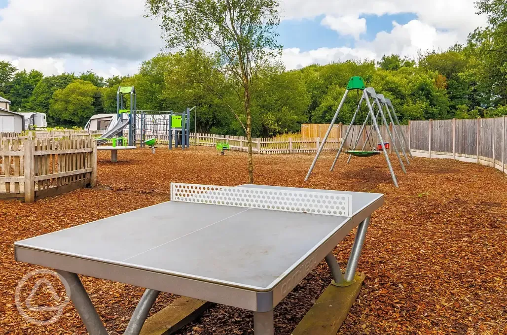 Play area and table tennis