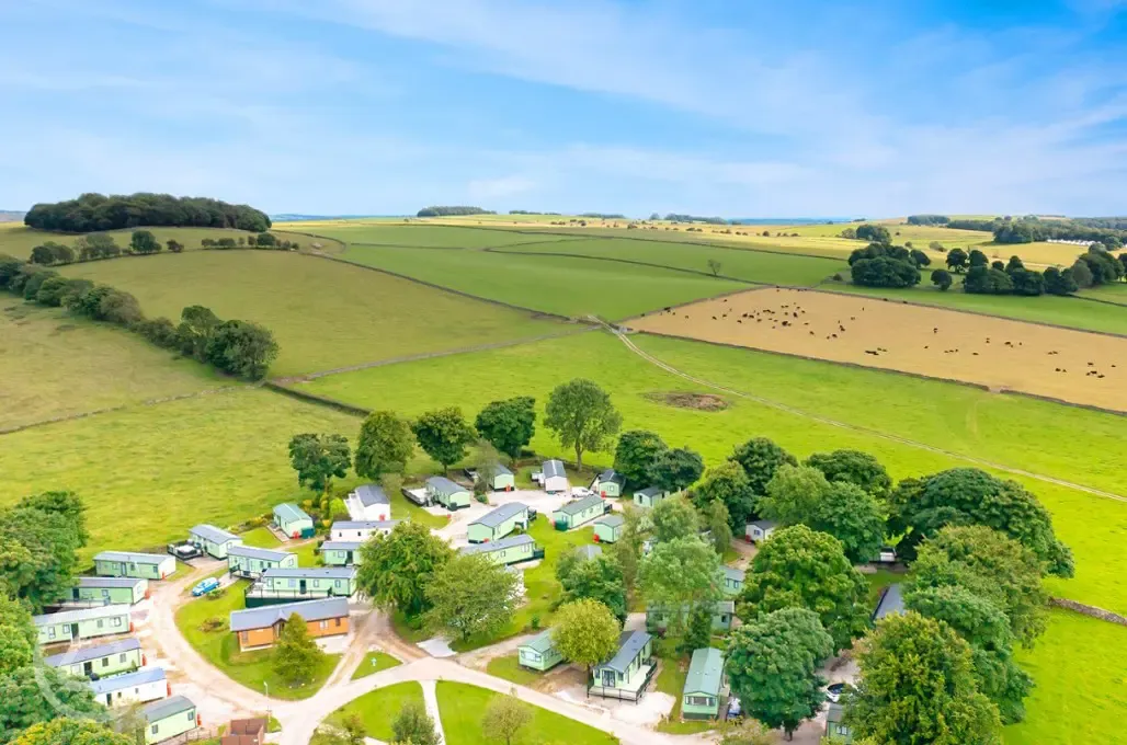 Aerial of the site