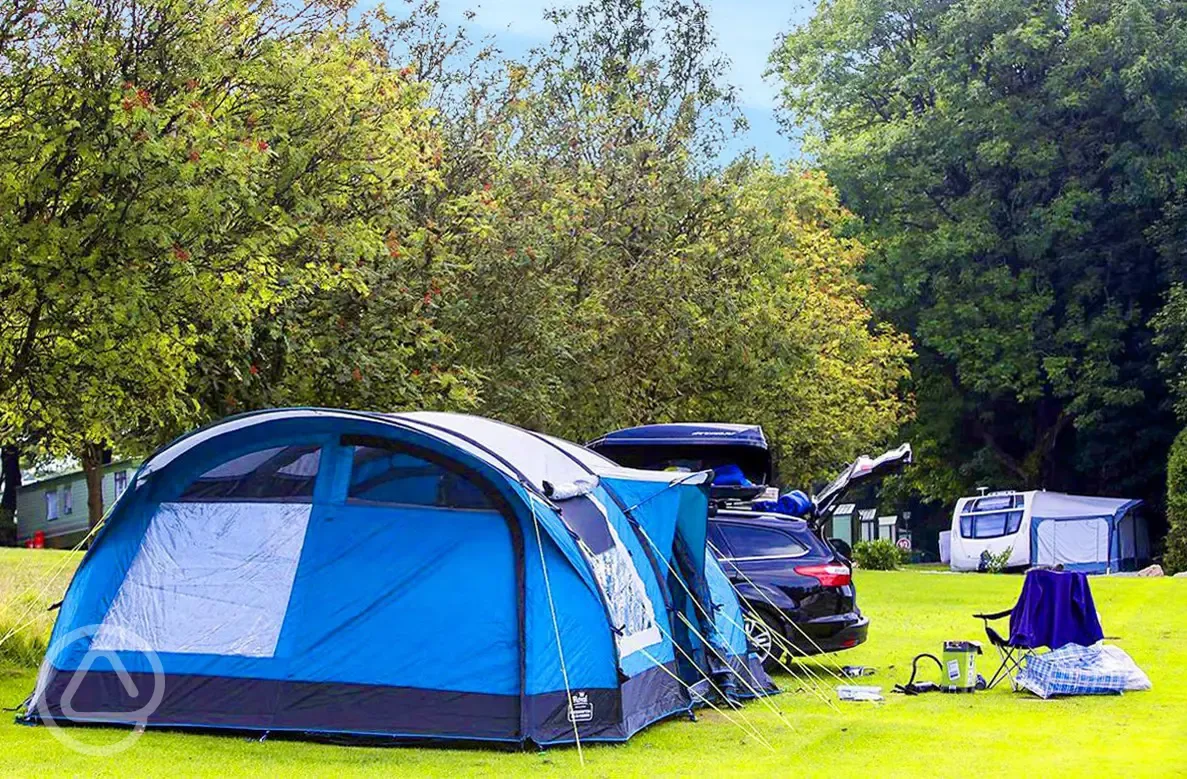Grass pitches for tents and roof tents at Newhaven Holiday Park
