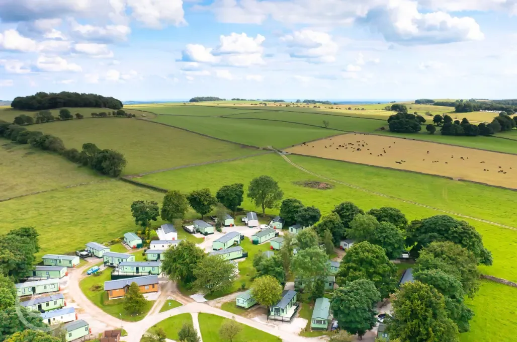 Aerial of the site