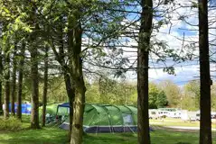 Grass pitches for tents at Newhaven Holiday Park