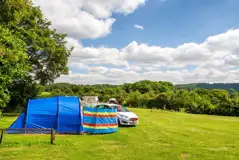 Electric grass pitches