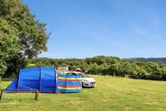 Electric grass pitches with space for a parked car