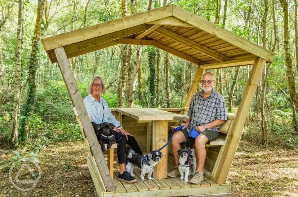 Seating along the woodland walk