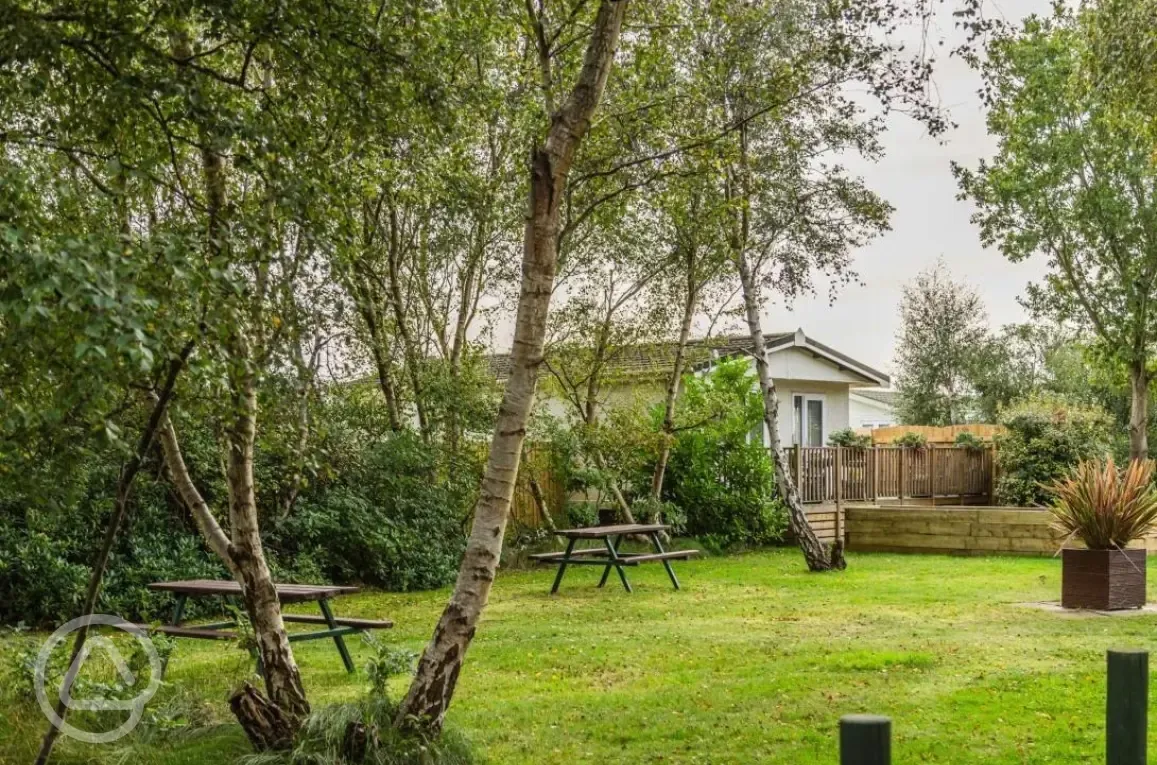 Picnic benches around site