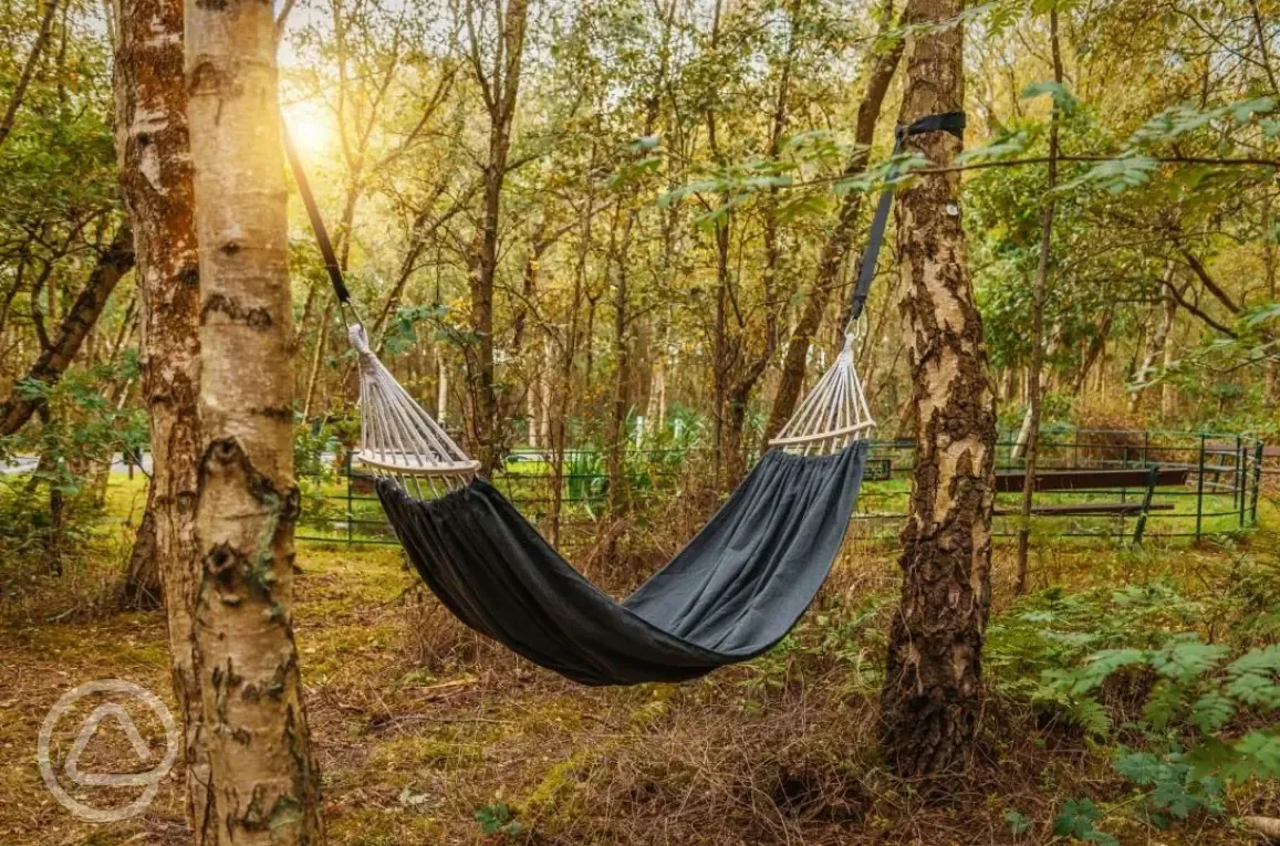 Hammocks along the woodland walk