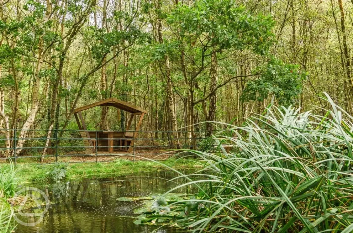 Pondside seating on the woodland walk