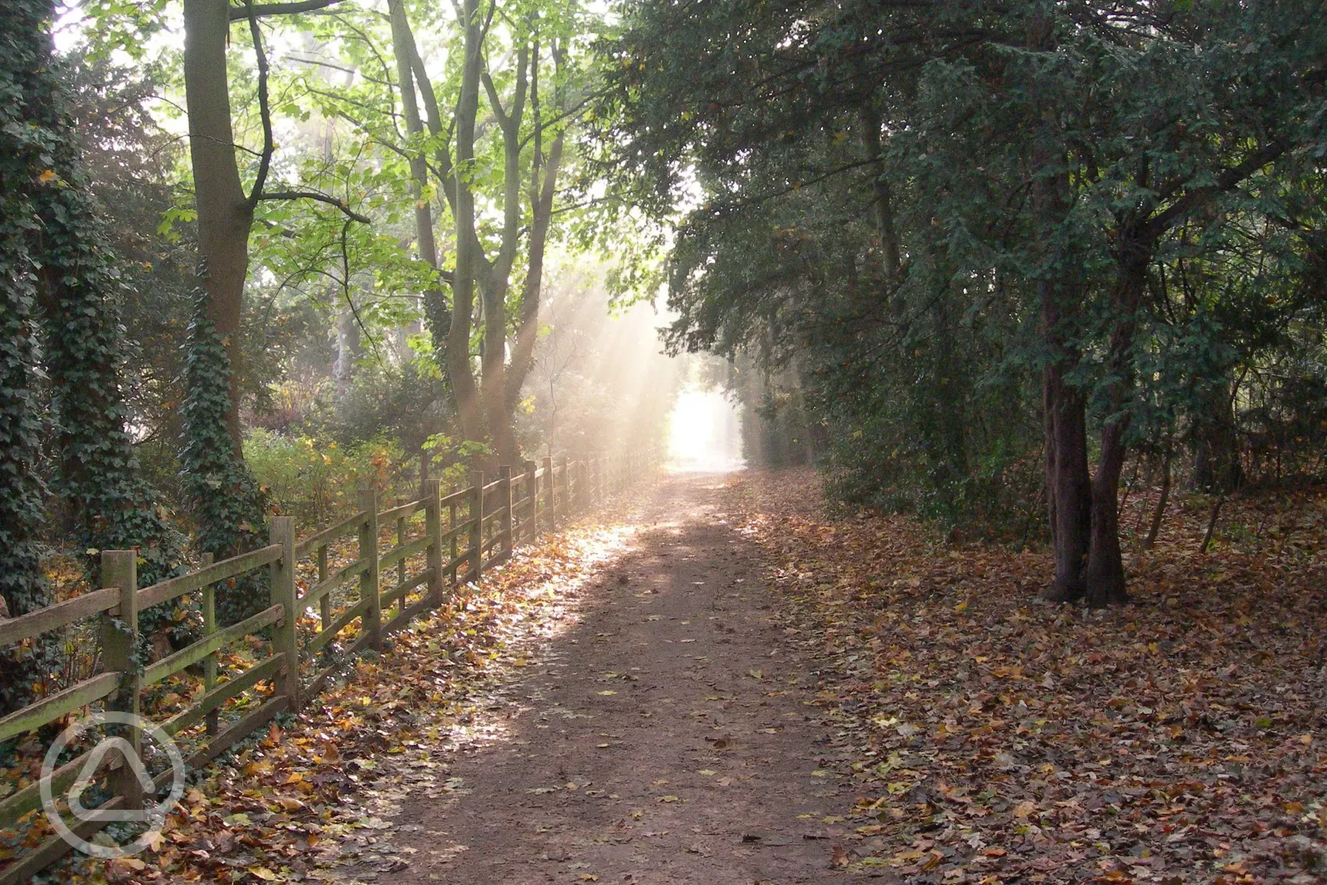 Woodland walks