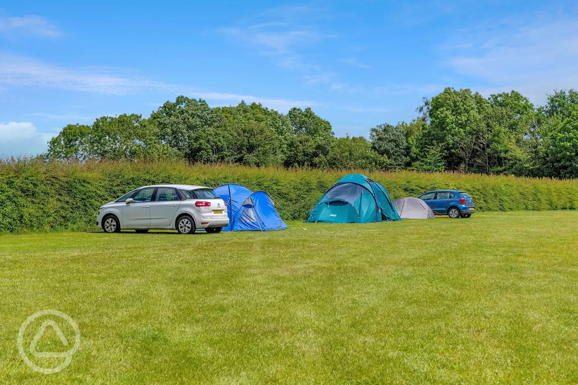 Grass pitches