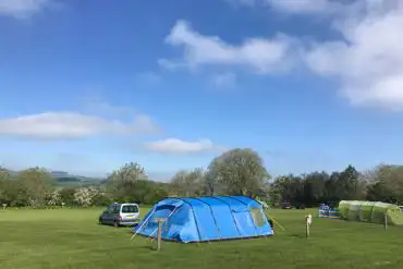 Tent on grass pitch