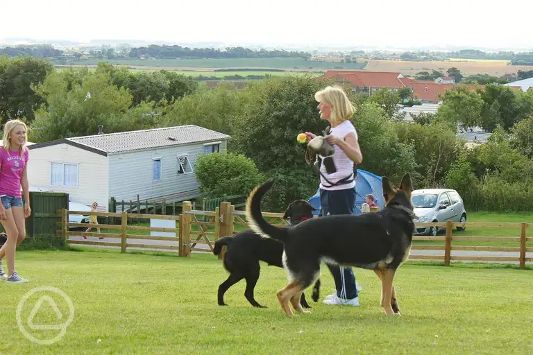Enclosed dog park