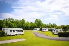 Electric hardstanding pitches beside hedges