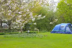 Large tent on a premium electric grass pitch measuring at least 10m wide