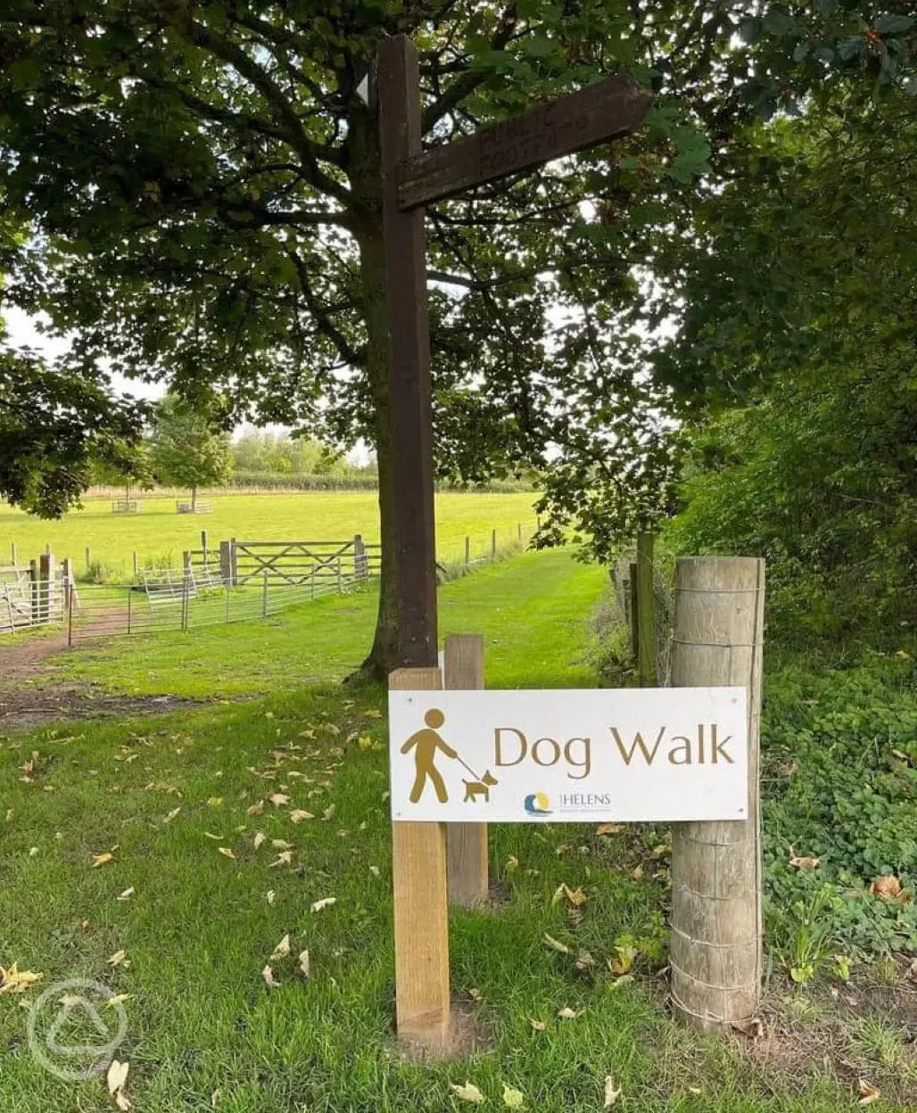Dog walk