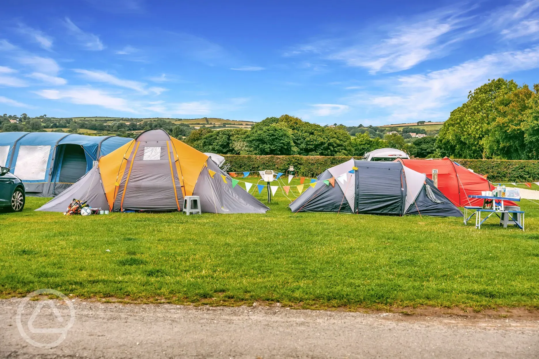 Electric grass pitches with 10 amp electric hook up