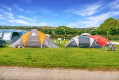 Electric grass pitches with 10 amp electric hook up