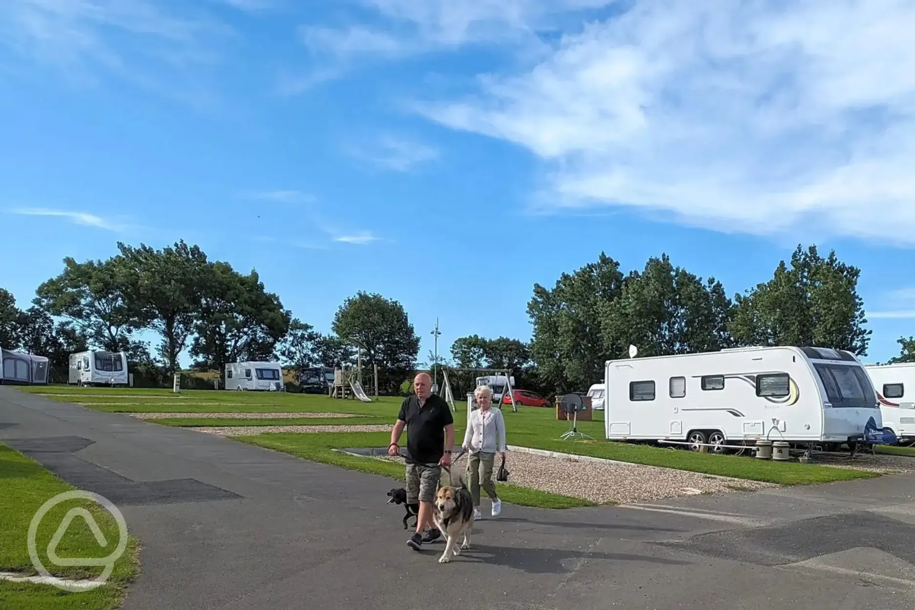 Dog friendly pitches at York House Caravan Park Dog friendly pitches at York House Caravan Park