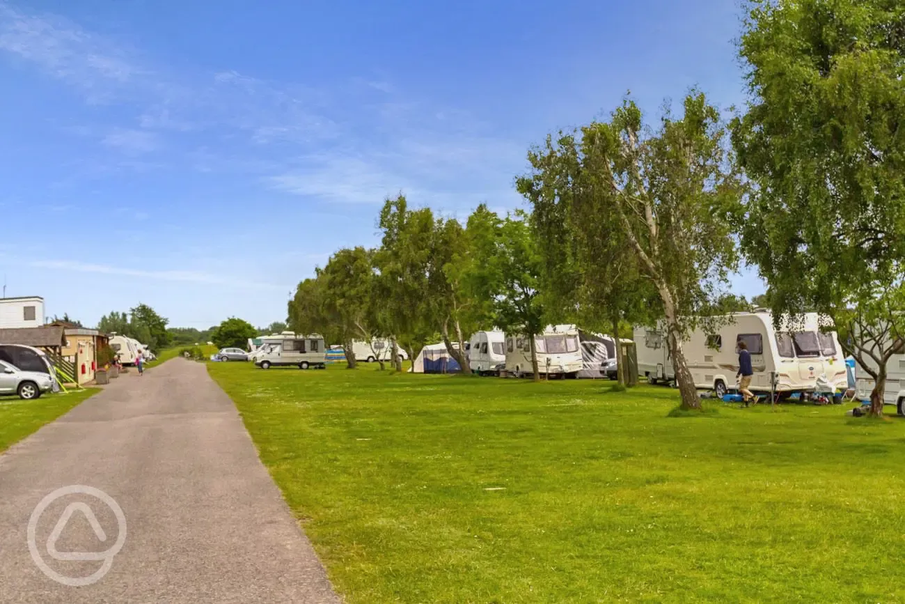 Path through campsite