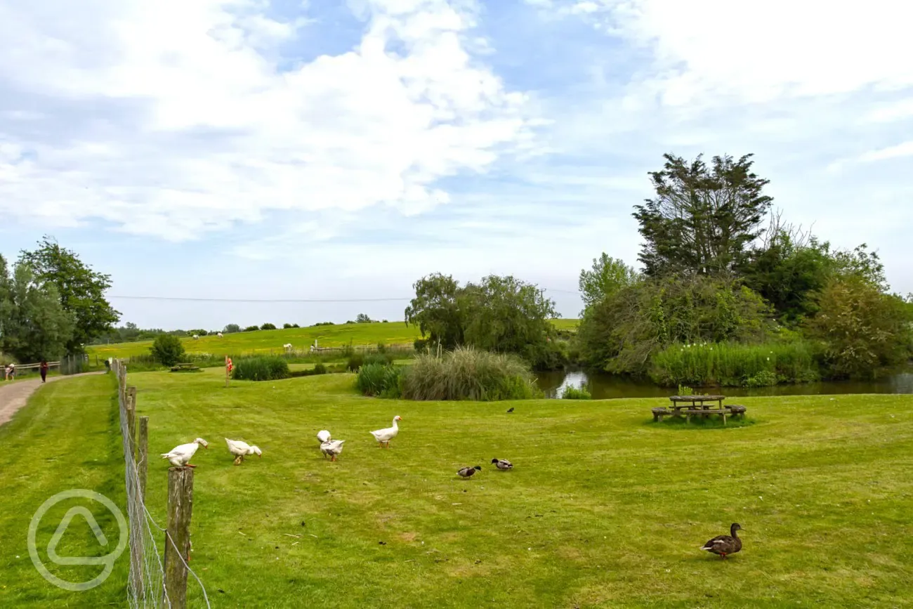 Fairfields Farm lake