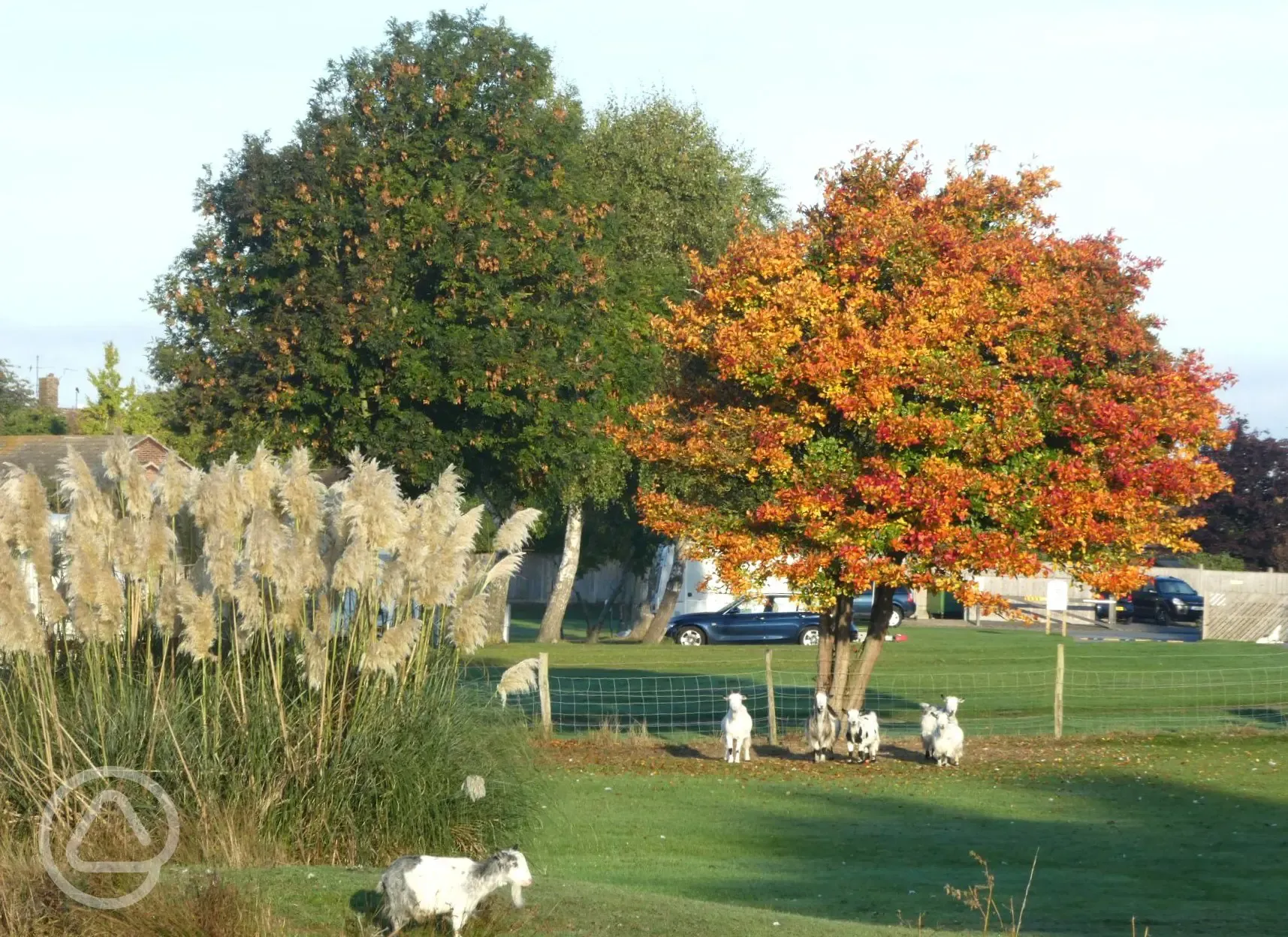 Farm trail