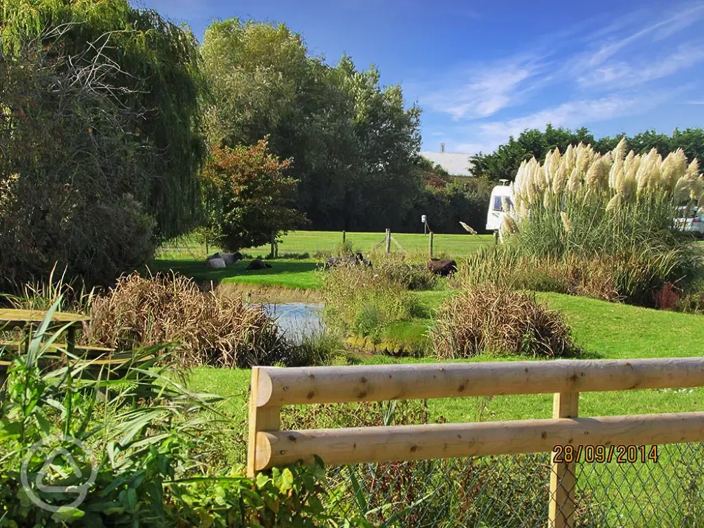 Fairfields Farm lake