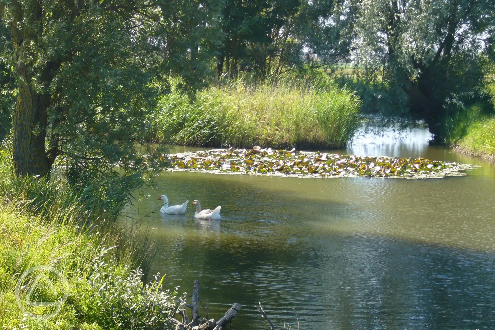 Fairfields Farm lake