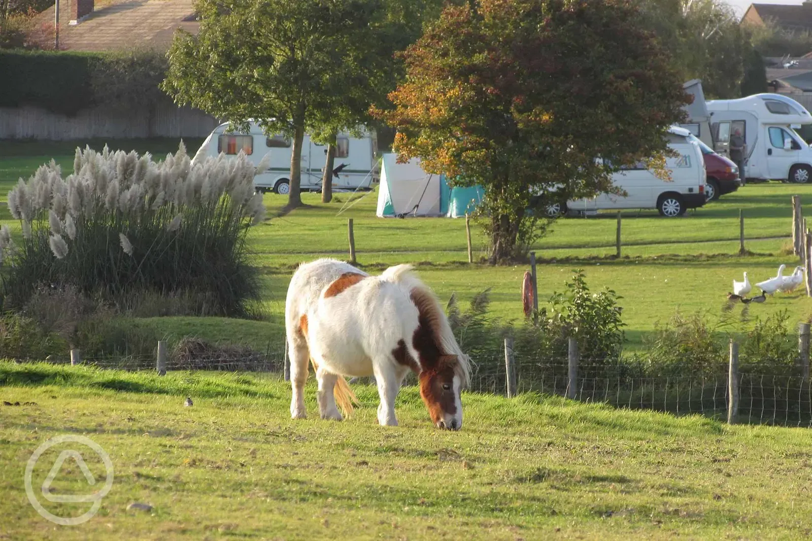 Farm trail