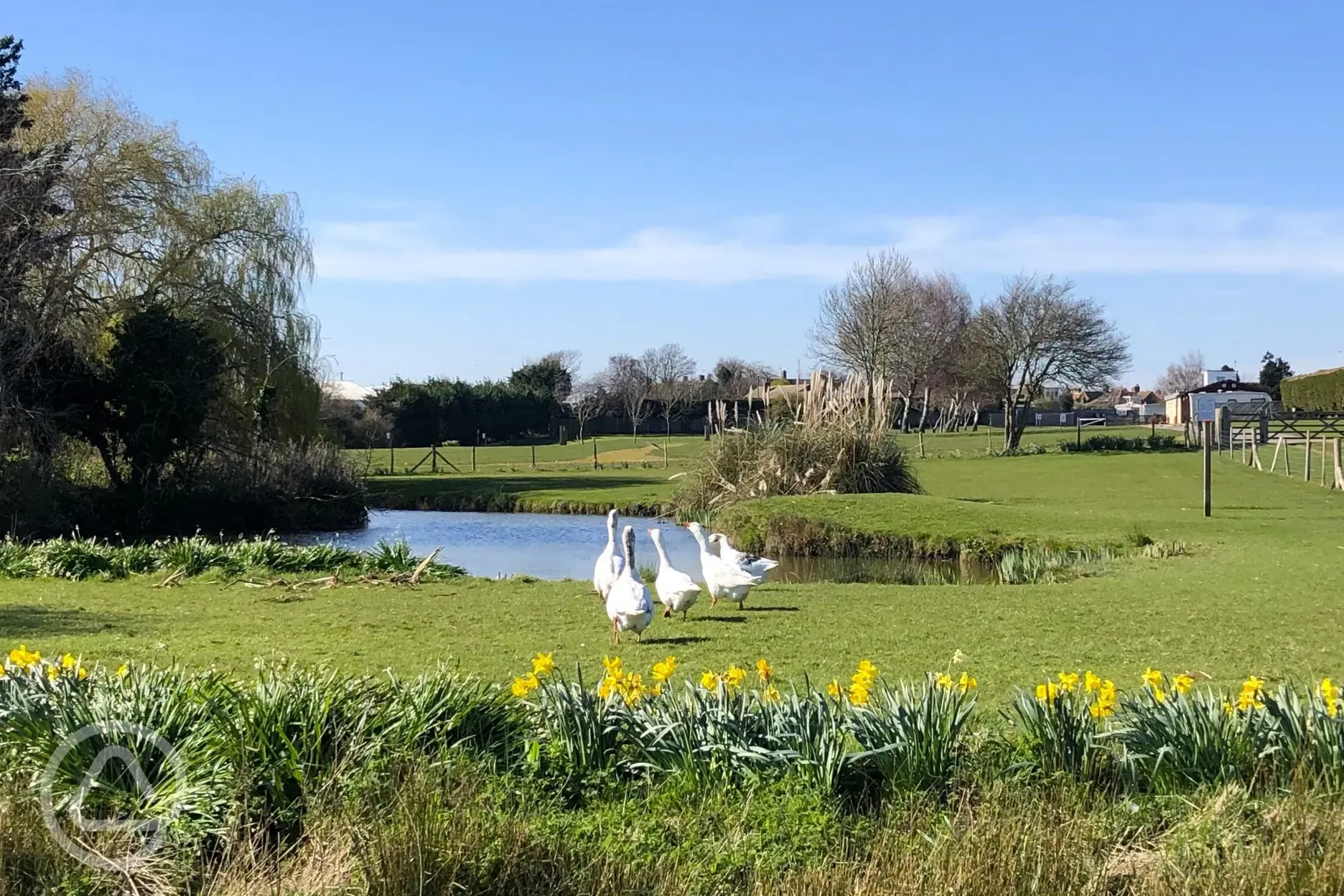 Fairfields Farm lake