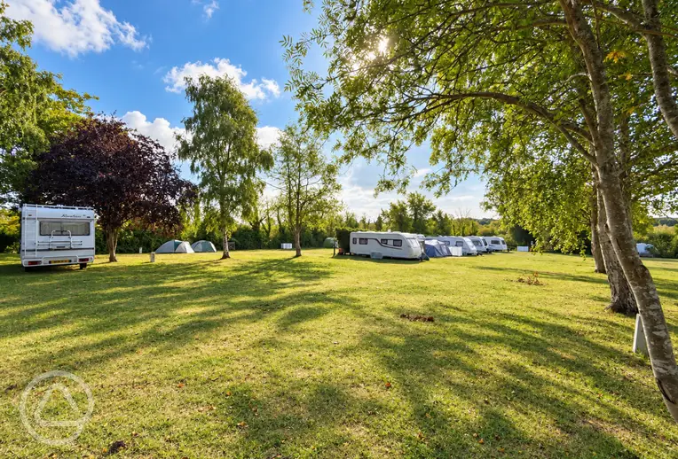Electric grass pitches (Sunset Strip) at Adgestone Campsite and Touring Park