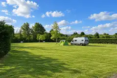 Electric grass pitches (The Paddocks) surrounded by trees