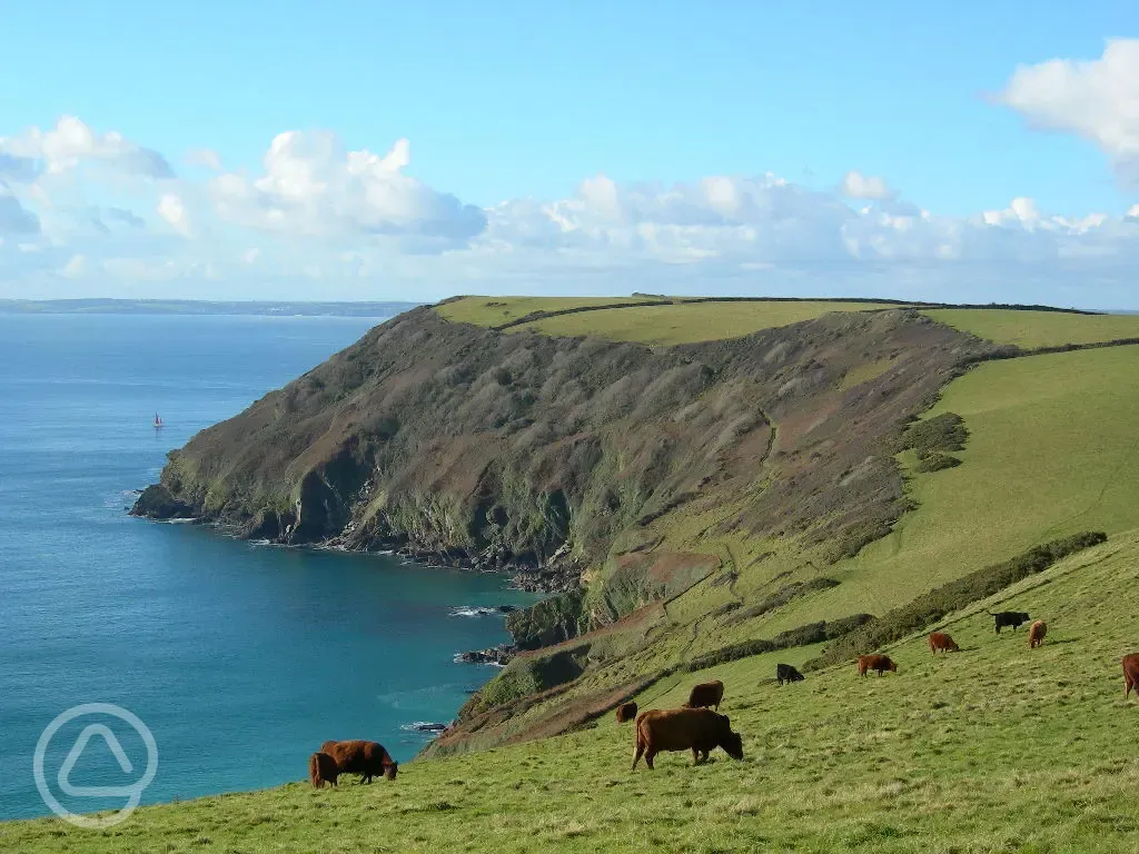 Local Cornish Headland