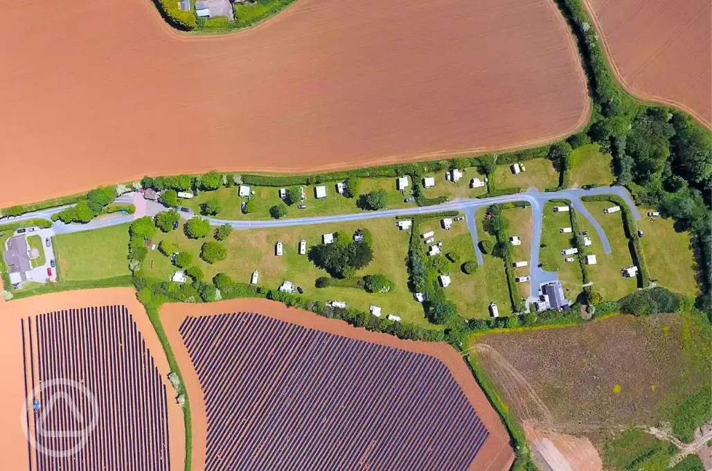 Bird's eye view of the campsite